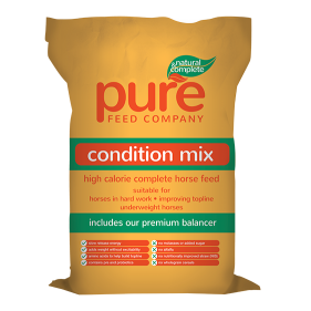 CONDITION PURE FEED