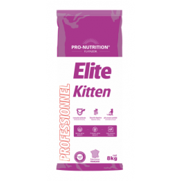 ELITE KITTEN CHAT