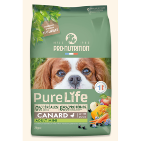 MINI ADULT PURE LIFE AU CANARD